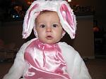 Click image for larger version

Name:	bunny1.JPG
Views:	254
Size:	121.8 KB
ID:	951056