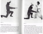 Click image for larger version

Name:	monkey_steals_the_peach.png
Views:	167
Size:	404.7 KB
ID:	951060