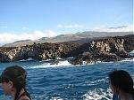 Click image for larger version

Name:	IMG_4562.jpg
Views:	290
Size:	22.3 KB
ID:	951078