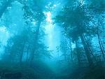 Click image for larger version

Name:	02105_blueforest_1024x768.jpg
Views:	287
Size:	20.9 KB
ID:	951083