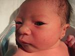 Click image for larger version

Name:	baby.jpg
Views:	211
Size:	56.1 KB
ID:	951123