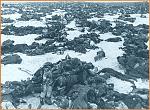 Click image for larger version

Name:	stalingrad1.jpg
Views:	218
Size:	86.3 KB
ID:	951213