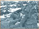 Click image for larger version

Name:	stalingrad_dead_german_invaders2.jpg
Views:	209
Size:	76.4 KB
ID:	951214