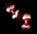 Click image for larger version

Name:	cancer.jpg
Views:	274
Size:	32.7 KB
ID:	951230