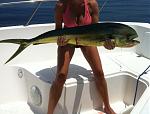 Click image for larger version

Name:	Mahi.jpg
Views:	307
Size:	112.8 KB
ID:	951274