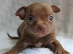 Click image for larger version

Name:	twix06.jpg
Views:	236
Size:	144.8 KB
ID:	951328