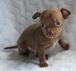 Click image for larger version

Name:	twix08.jpg
Views:	239
Size:	172.9 KB
ID:	951329