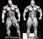 Click image for larger version

Name:	Flex Vs Gift.jpg
Views:	243
Size:	77.5 KB
ID:	951330