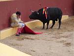 Click image for larger version

Name:	Bullfighter end.jpg
Views:	259
Size:	47.1 KB
ID:	952432