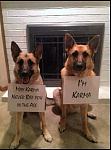 Click image for larger version

Name:	IMG_20130103_022211.jpg
Views:	207
Size:	62.6 KB
ID:	952469