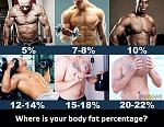 Click image for larger version

Name:	484862_346742578780095_22984339_n.jpg
Views:	209
Size:	64.3 KB
ID:	952481