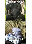 Click image for larger version

Name:	IMG_99449046434798.jpeg
Views:	154
Size:	48.4 KB
ID:	952527