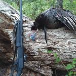 Click image for larger version

Name:	IMG_20200417_092449_380.jpg
Views:	297
Size:	249.5 KB
ID:	997571