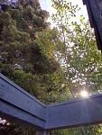 Click image for larger version

Name:	ImageUploadedByTapatalk1591543076.3865.jpg
Views:	449
Size:	271.7 KB
ID:	999661