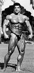 Ferrigno in his prime