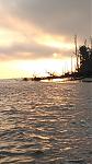 St cats island